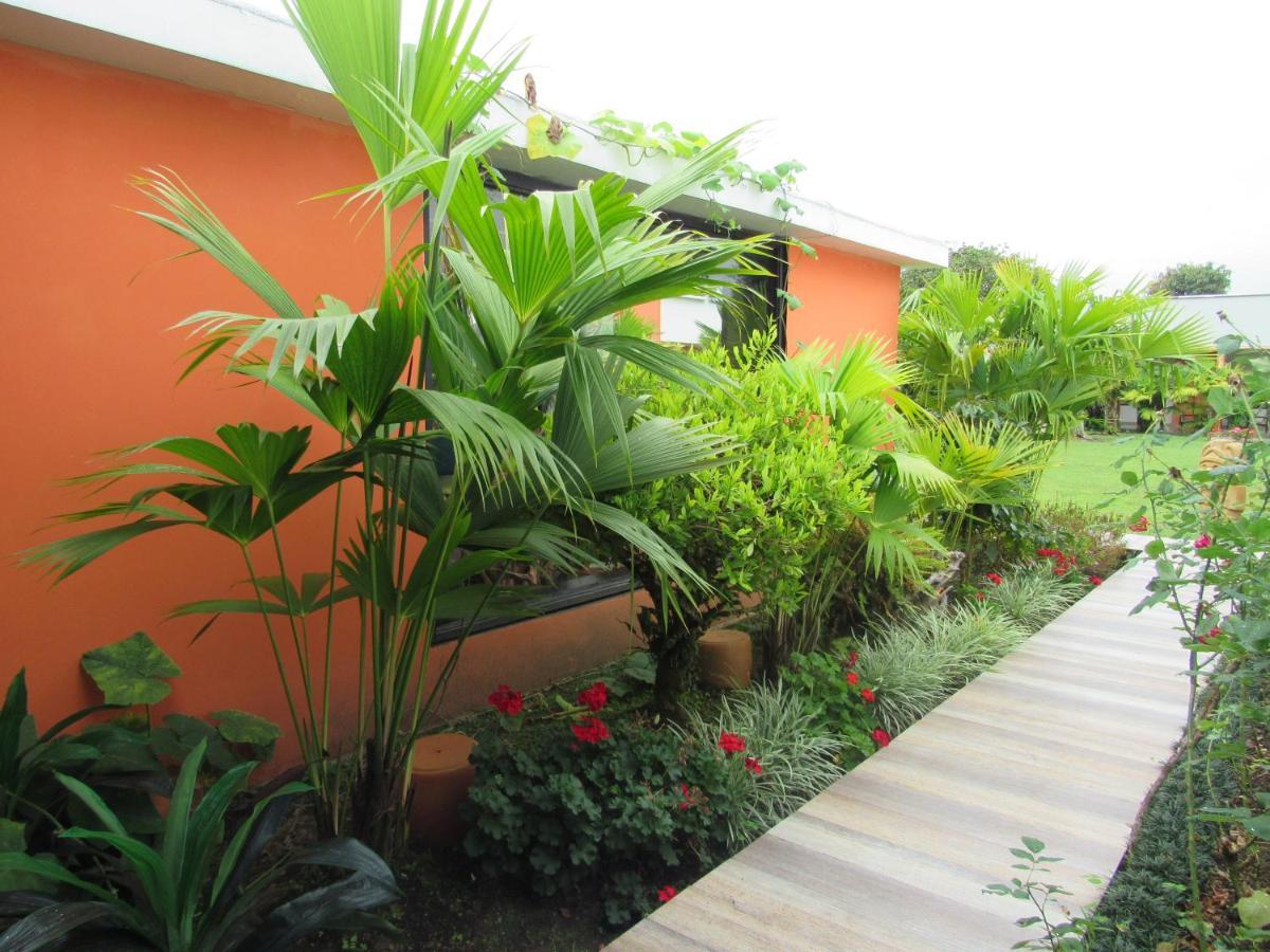 Hotel Yalconia San Agustín المظهر الخارجي الصورة